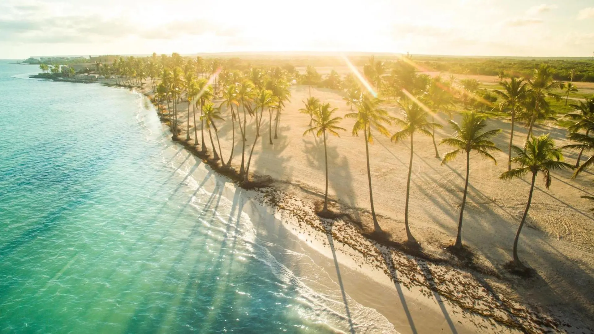 Cozy 1Br-Apartment With Terrace In Las Canas Punta Cana